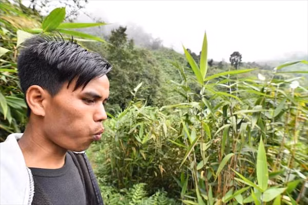 Khi cần gọi ai, người Khasi làng Kongthong huýt sáo tên giai điệu của người đó.