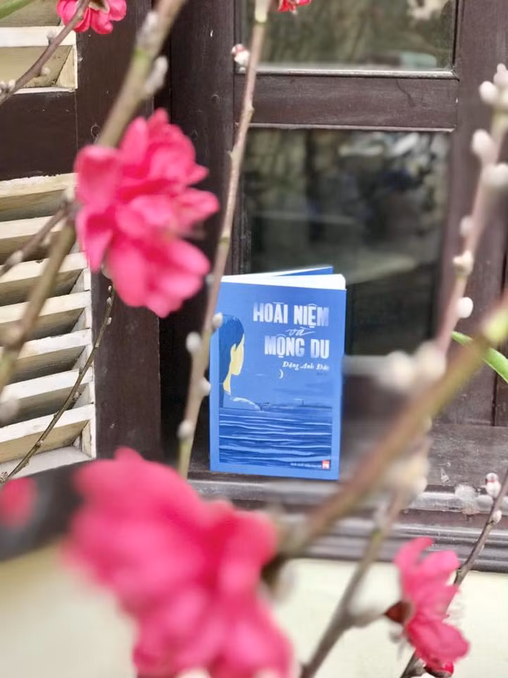 Bìa tác phẩm Hoài niệm và mộng du.