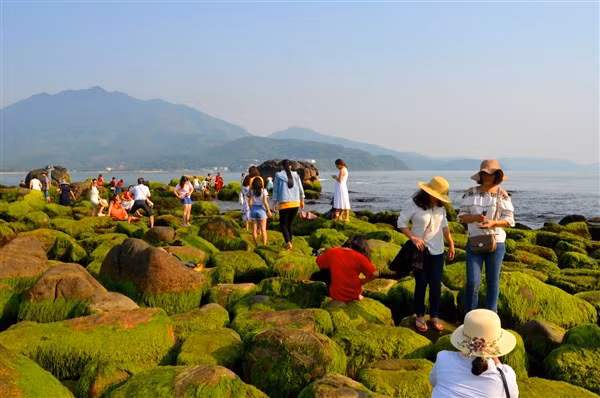 Vẻ đẹp độc đáo của bãi rêu Nam Ô thu hút nhiều du khách đến tham quan, chụp ảnh vào mùa rêu xanh.