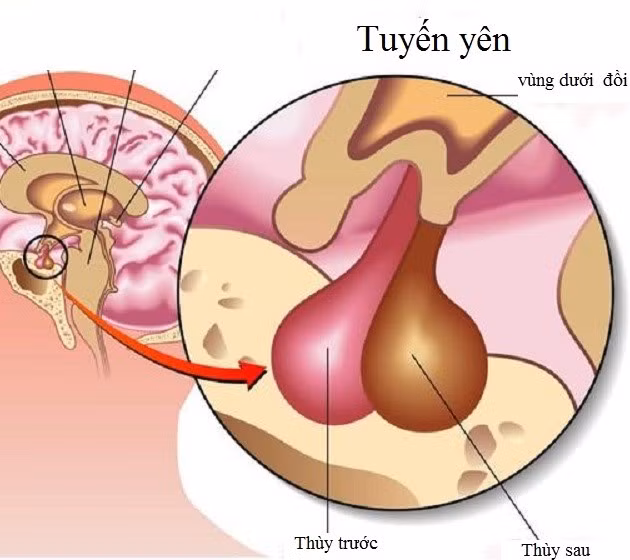 Minh họa/INT Minh họa/INT