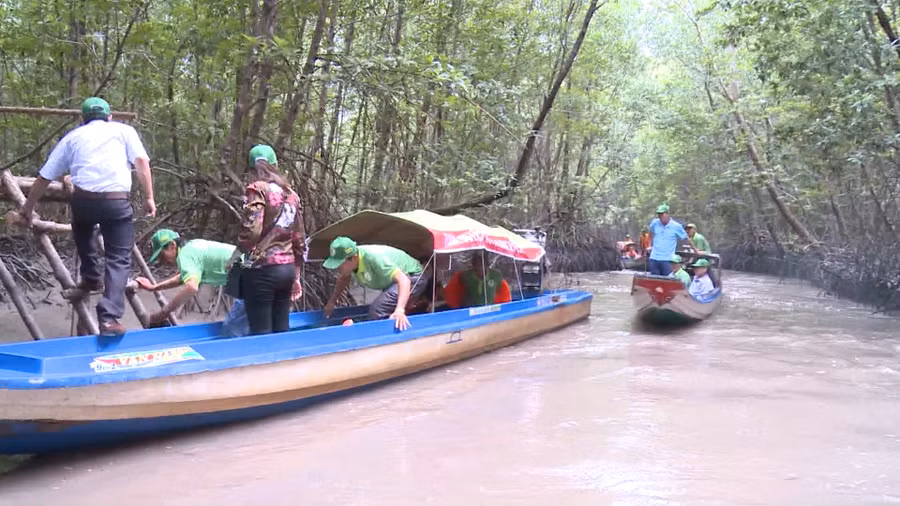Du khách tham quan tour xuyên rừng tại KDL Quốc gia Mũi Cà Mau. Ảnh: Quách Mến Du khách tham quan tour xuyên rừng tại KDL Quốc gia Mũi Cà Mau. Ảnh: Quách Mến