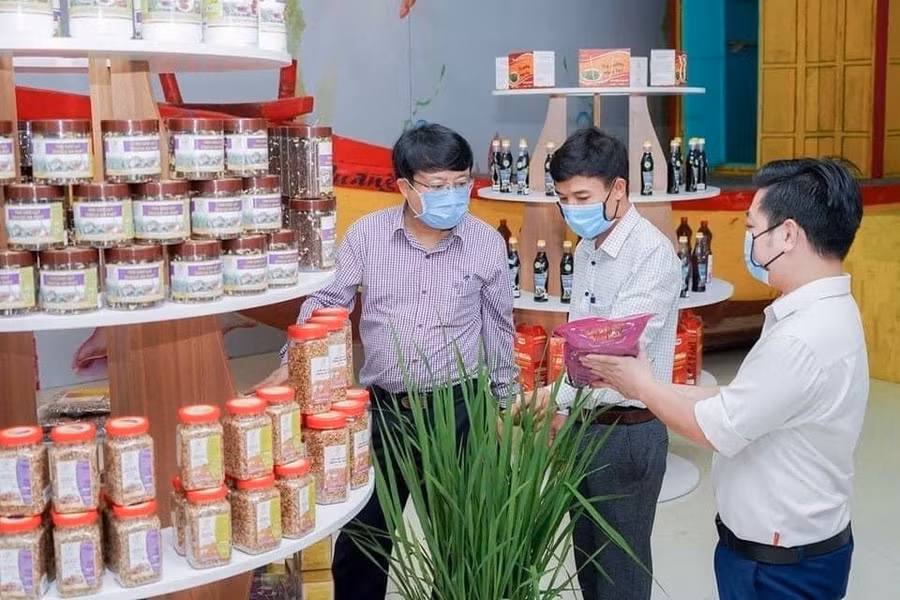 Đại biểu ở Hà Tĩnh tham quan sản phẩm chế biến từ gạo thảo dược Vĩnh Hòa 1 của Công ty TNHH Khoa học và Công nghệ An Phát. (Ảnh: Vũ Long).