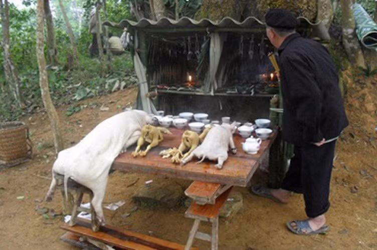 Lễ cúng rừng tại Bảo Thắng (Lào Cai).