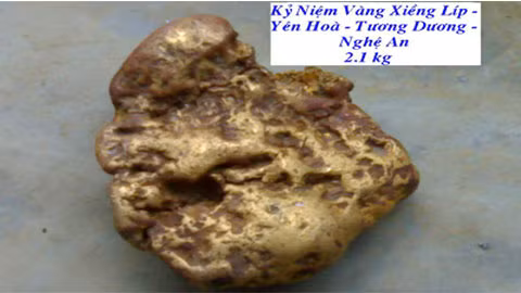 Dai gia nhat duoc cuc vang 2,1 kg song ra sao