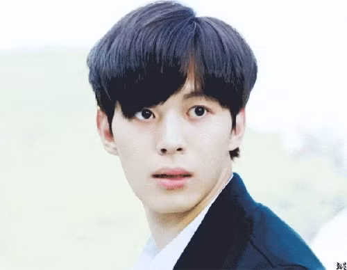 9 than tuong dien trai nhu hoang tu khien fan 