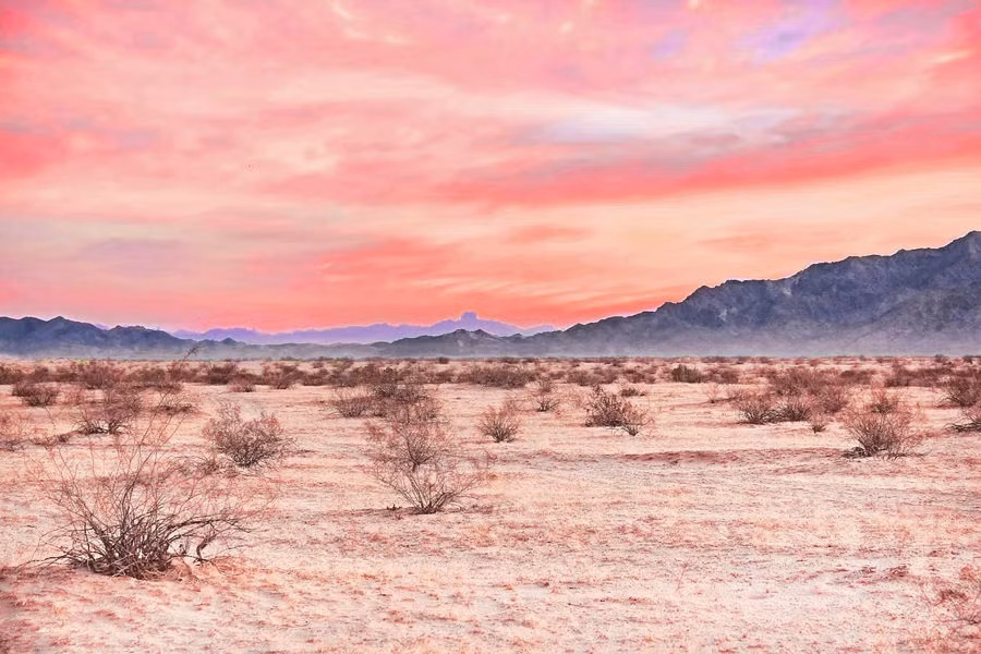 Sa mạc gần Yuma, Arizona, nơi cặp đôi June Marajane Walker và Klaus W. Martens biến mất không để lại dấu vết.