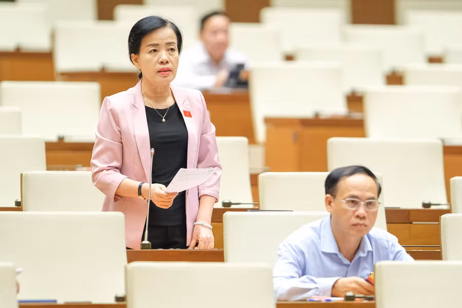 Đại biểu Nguyễn Thị Kim Thúy - Đoàn ĐBQH Tp.Đà Nẵng. Ảnh: Quochoi.vn.
