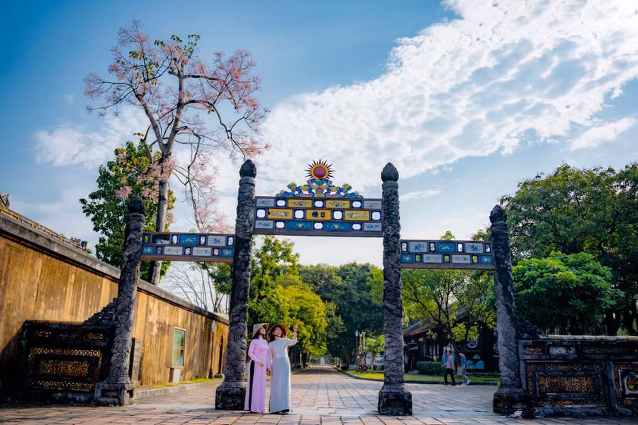 Nhiều du khách thích thú khi tham quan Đại nội Huế vào đúng dịp hoa ngô đồng nở.