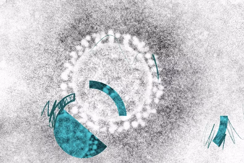 Nguồn: BYT.