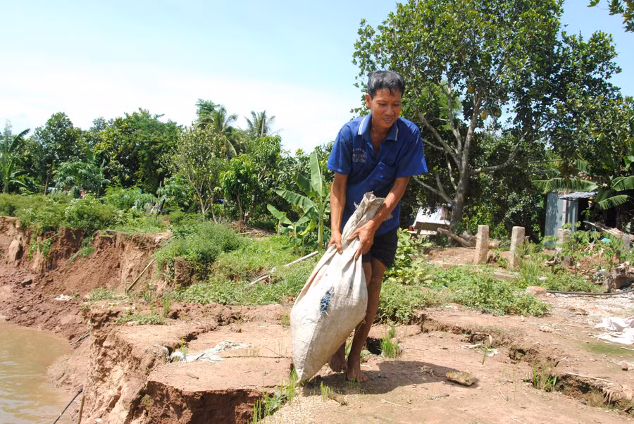 Người dân ven sông Tiền (Đồng Tháp) cố gắng di dời tài sản trước nguy cơ sạt lở.
