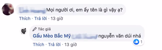 Cư dân mạng đắm đuối vì chú chó hót hòn họt trên Facebook gần 1 tuần qua, lập fanpage 4 ngày thu về 32 ngàn lượt thích, ai nhìn cũng muốn nuôi! - Ảnh 3.