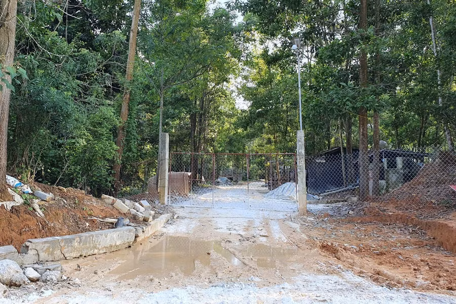 Trại lợn được bảo vệ nghiêm ngặt, ngay các các bộ Hậu cần ở Trạm T34 không thể vào được.
