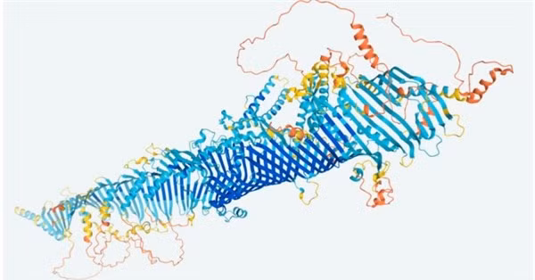 Giải mã protein.