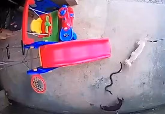 Hình ảnh được cắt từ clip. Hình ảnh được cắt từ clip.