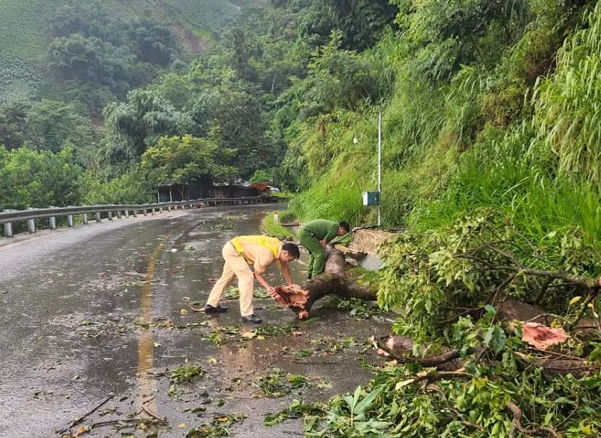 CSGT huyện Bắc yên đầm mưa dọn dẹp cây cối gãy đổ, gây cản trở giao thông.