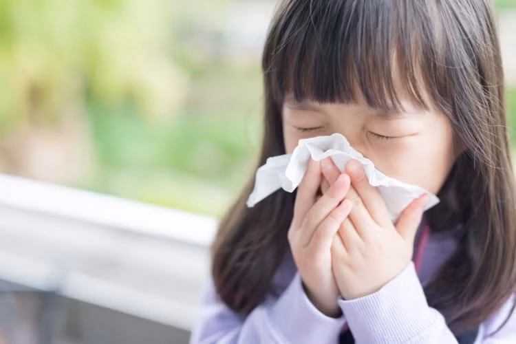 Cúm mùa là dịch bệnh dễ gặp nhất vào mùa đông xuân. Ảnh minh họa