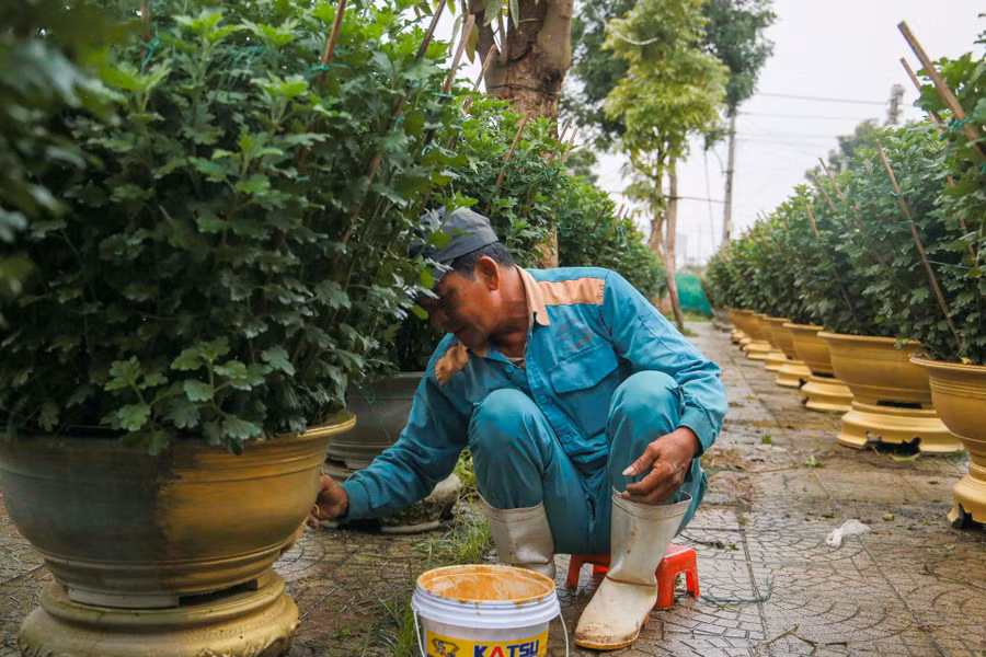 Ông Phú đang sơn màu cho chậu hoa được “bắt mắt".
