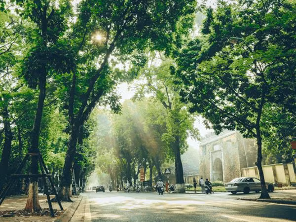Thời tiết 2/1: Không khí lạnh suy yếu gây mưa và sương mù