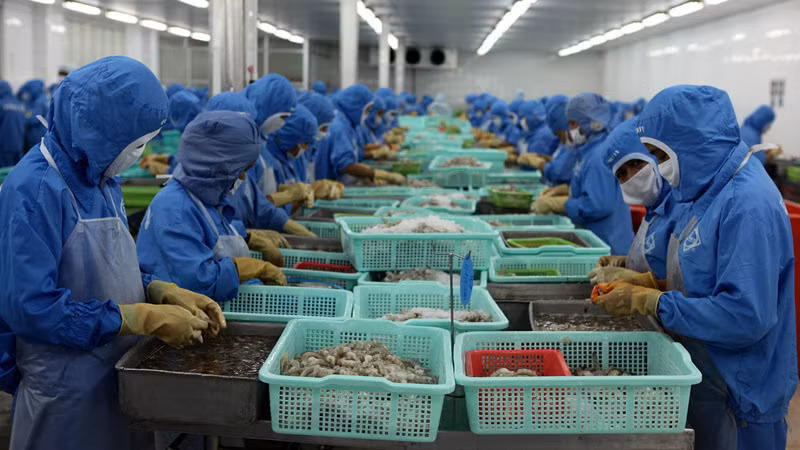 Doanh nghiệp bị tồn đọng lượng hàng lớn, chi phí lưu kho tăng mạnh vì các đơn hàng thuỷ sang xuất sang Trung Quốc đều bị lùi chậm lại Cua Cà Mau rớt giá, thuỷ sản đi Trung Quốc tồn đọng lớn