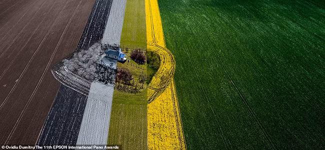 Hình ảnh thể hiện bốn mùa được chụp gần thành phố Carei ở Romania của nhiếp ảnh gia người Romania Ovidiu Dumitru. Ảnh: Dailymail.