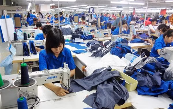 Hàng triệu lao động mất việc làm hoặc chuyển nghề nên việc đào tạo và đào tạo lại sẽ giúp họ nhanh chóng thích ứng với công việc mới. Ảnh minh họa.