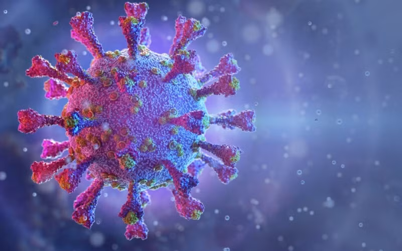 Phát hiện biến thể virus SARS-CoV-2 tại Mỹ