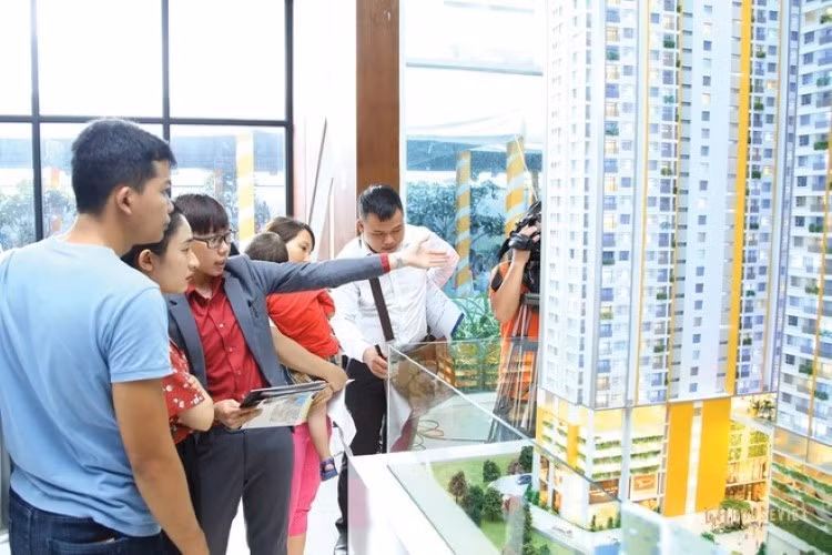 TPHCM: Khiếu kiện vì hơn 25.000 sổ hồng bị treo ảnh 1