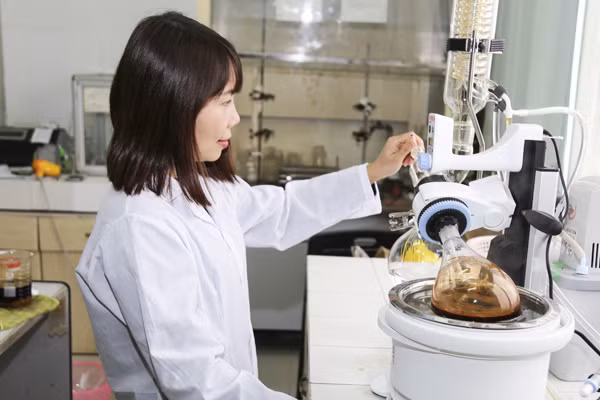 PGS.TS Lê Minh Hà với trăn trở hiện đại hóa các bài thuốc dân gian.