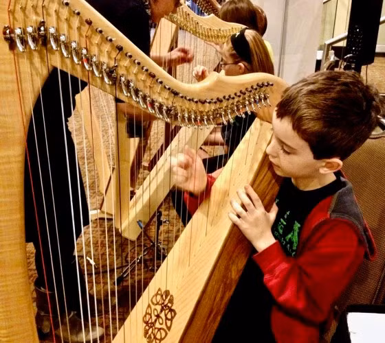 Duyên dáng đàn hạc Ireland ảnh 3
