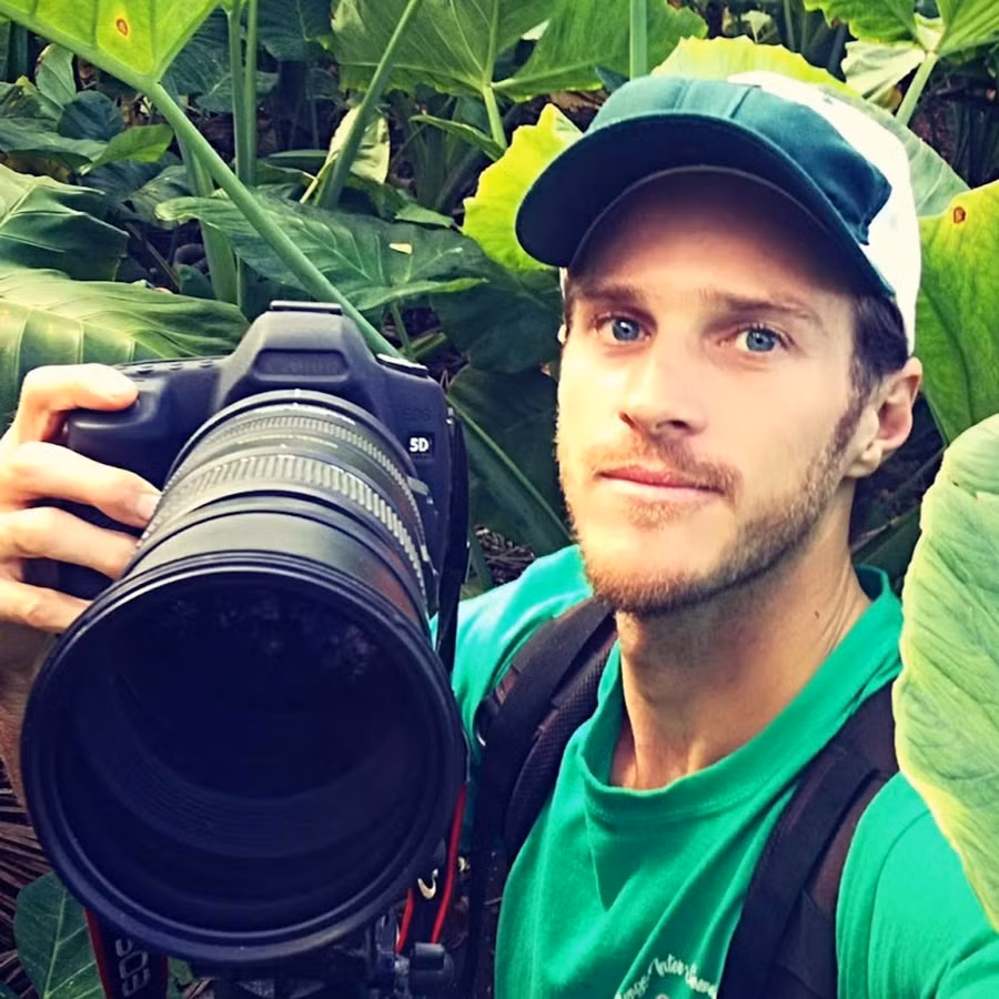 Nhà nghiên cứu môi trường Samuel Ravatua-Smith có nhiệm vụ quan sát tổ của vẹt lorikeet.