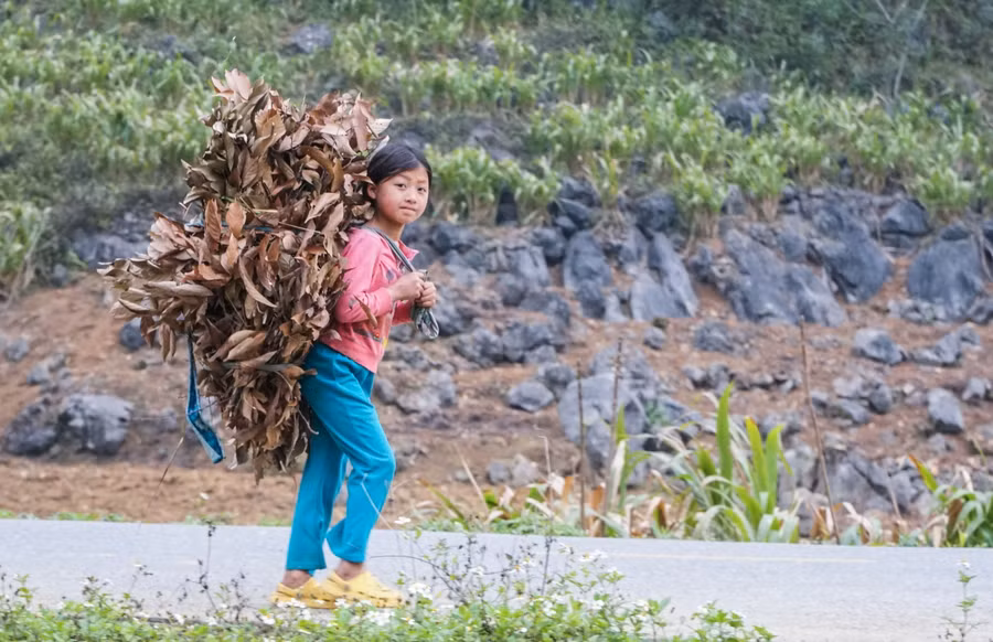 HS có hoàn cảnh khó khăn đều được các nhà trường quan tâm, giúp đỡ.