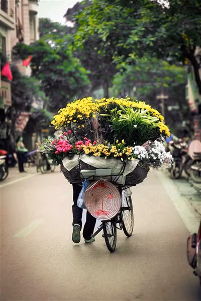 Hà Nội là những xe bán hoa tươi rực rỡ của Cứ Thị Mai.