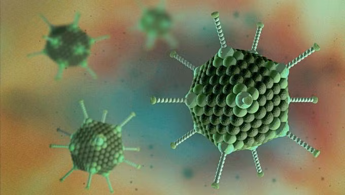 Adenovirus có thể bị tiêu diệt nhanh chóng bởi tia cực tím hoặc trong môi trường nước sôi 1.000 độ C. 