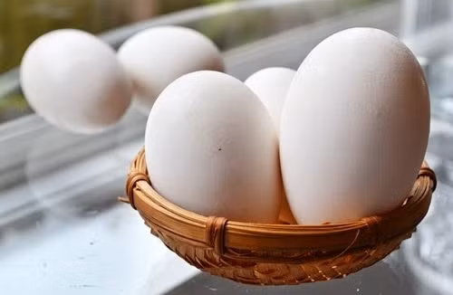 Mang bầu, ăn mỗi ngày 1 quả trứng gà có quá nhiều? ảnh 1 mang bau, an moi ngay 1 qua trung ga co qua nhieu? - 1