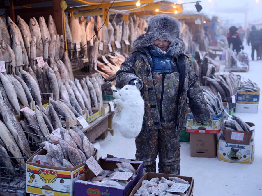 Người dân làng Oymyakon bán các thực phẩm đông lạnh. Người dân làng Oymyakon bán các thực phẩm đông lạnh.