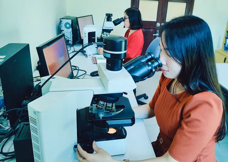 TS Lê Thị Mai Linh cùng cộng sự đang phân tích mẫu tuyến trùng.