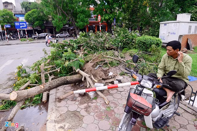 Cột truyền hình gãy đổ sau cơn dông mạnh như bão