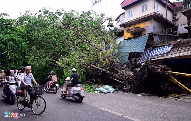 Cột truyền hình gãy đổ sau cơn dông mạnh như bão