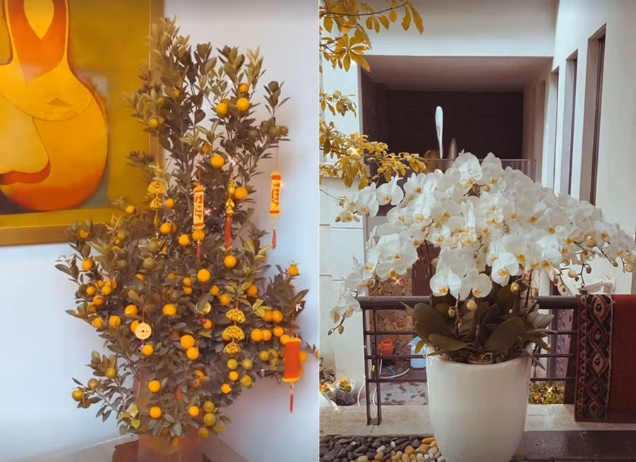 Nhà diễn viên Phương Anh (Phanh Lee) vừa có đào, có quất, vừa có lan hồ điệp trắng để Tết thêm rực rỡ.