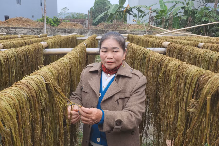 Người nông dân bên vỏ cây gai xanh.