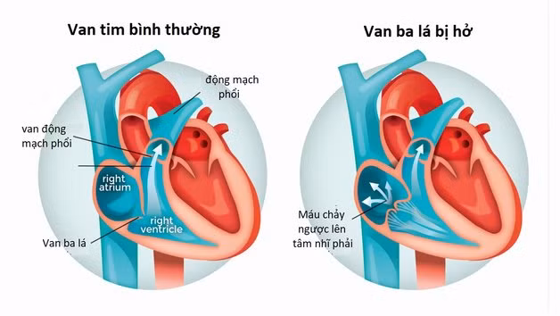 Minh họa/INT