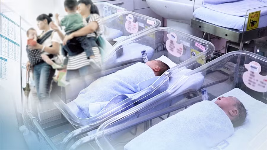 Ước tính đến năm 2024, tỷ suất sinh của Hàn Quốc chỉ đạt 0,7.