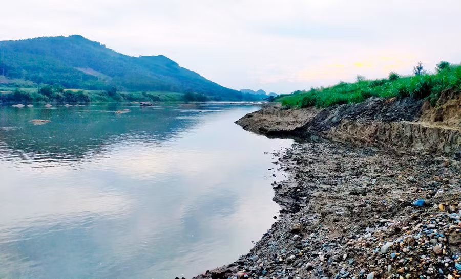 Tình trạng sạt lở bờ sông Mã ở xã Cẩm Ngọc đang lấn dần vào đất đai, hoa màu và nhà dân.