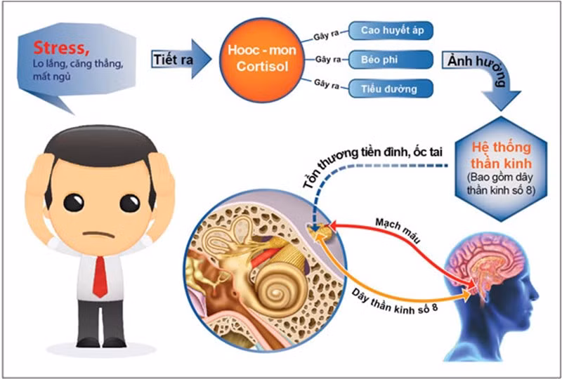 Ảnh minh họa: ITN. Ảnh minh họa: ITN.