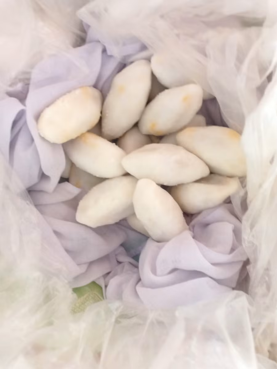 Bánh nắm được ủ nóng trong thúng xốp. Ảnh: Quốc Bình. Bánh nắm được ủ nóng trong thúng xốp. Ảnh: Quốc Bình.