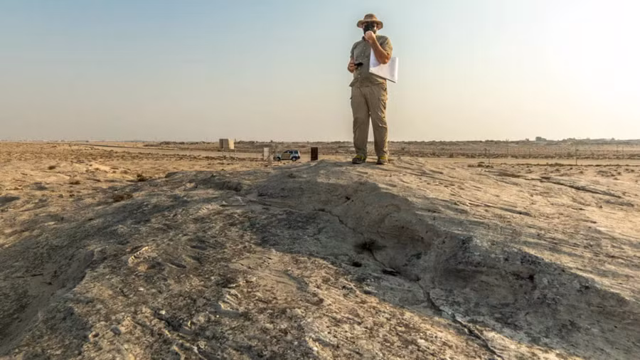 Các chuyên gia cho biết những hình chạm khắc trên đá ở Al Jassasiya là độc nhất vô nhị. Ảnh: CNN/Dimitris Sideridis.