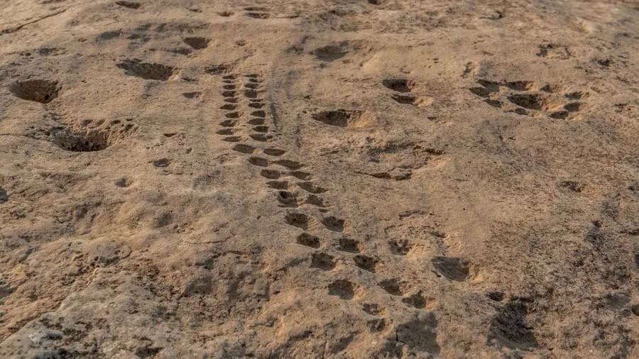 Một số hình chạm khắc mang rất nhiều điều bí ẩn. Ảnh: CNN/Dimitris Sideridis.