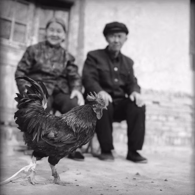 Chuyện những phụ nữ cuối cùng mang đôi chân gót sen - Ảnh 7