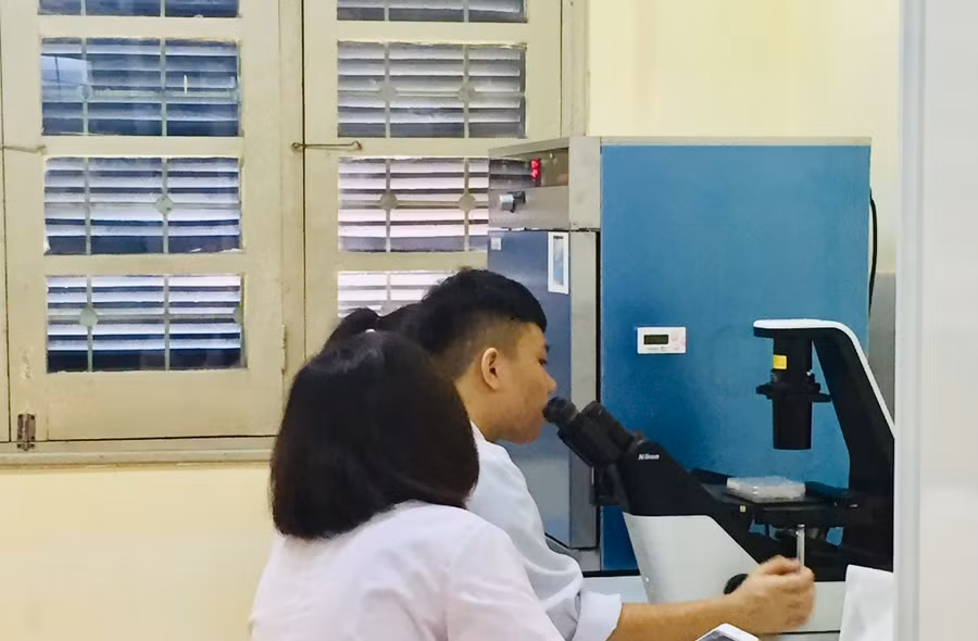 Sinh viên Trường Đại học Khoa học thực hành nuôi cấy, phân tích tế bào bào ung thư Sinh viên Trường Đại học Khoa học thực hành nuôi cấy, phân tích tế bào bào ung thư