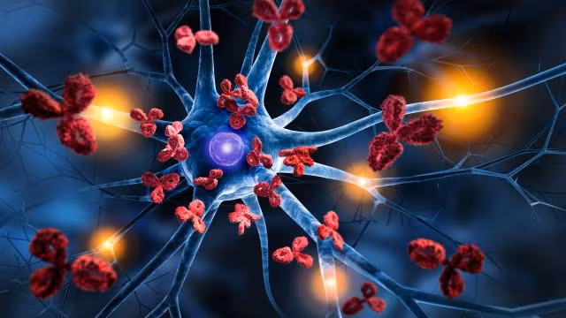Biến thể rủi ro có tên ApoE4 làm tăng nguy cơ phát triển bệnh Alzheimer, nhưng có thể làm tăng khả năng sinh sản ở phụ nữ.